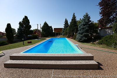 Skimmer-Pool